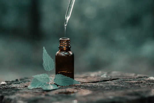 7 essential oils & their benefits on your well-being - Puretive Botanics