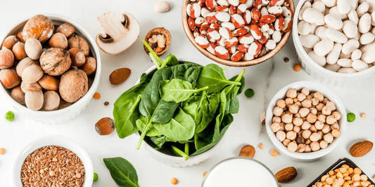Power of Plant-Based Protein: A Nutrient-Rich pursuit for Good Health and Sustainable Living. - Puretive Botanics