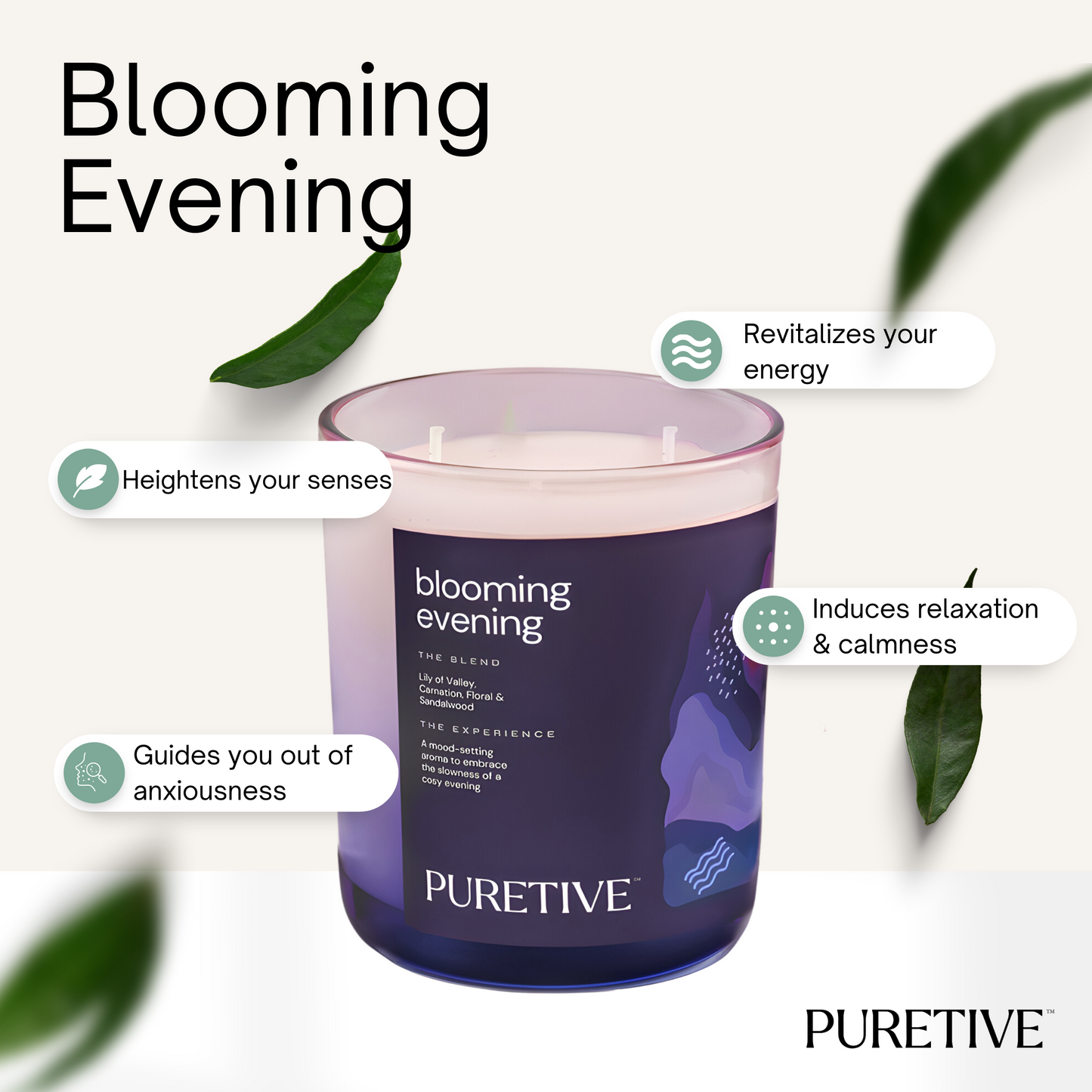 Blooming Evenings