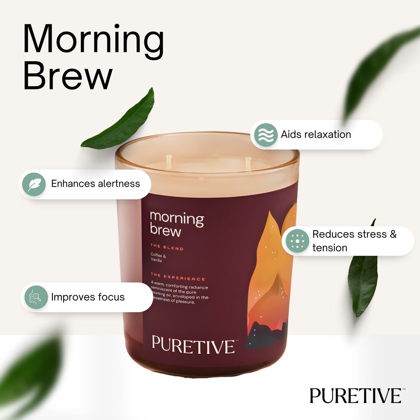 Morning Brew