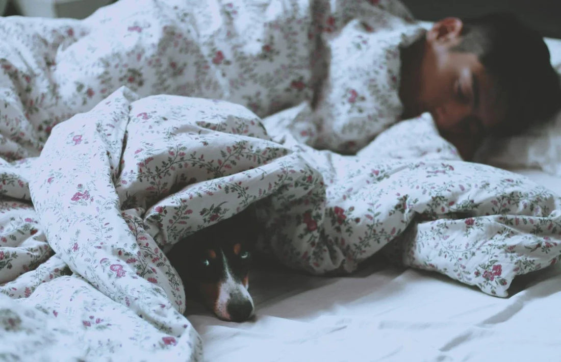 5 Natural Sleep Aids: What Are They and Do They Work? - Puretive Botanics