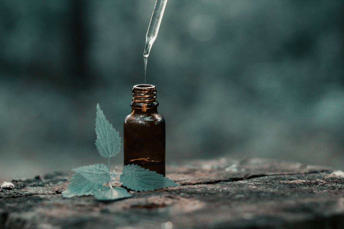 Exploring Aromatherapy: 6 Benefits of Essential Oils and Their Healing Powers - Puretive Botanics