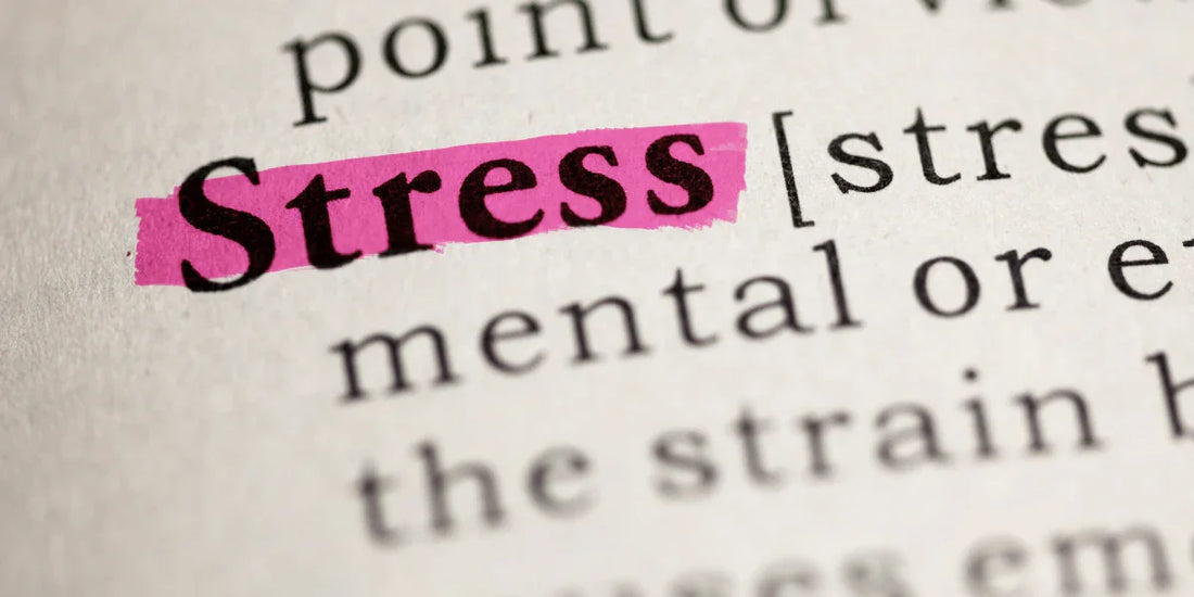 Let's Talk Stress: Understanding, Managing, and Overcoming persistent stress in daily life. - Puretive Botanics