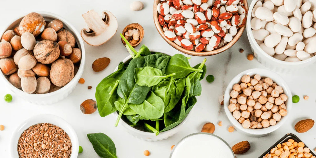 Power of Plant-Based Protein: A Nutrient-Rich pursuit for Good Health and Sustainable Living. - Puretive Botanics