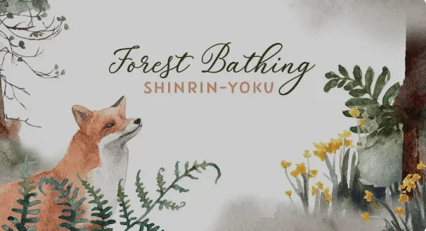 Shinrin-Yoku: A Japanese Relaxation Technique Worth Knowing - Puretive Botanics