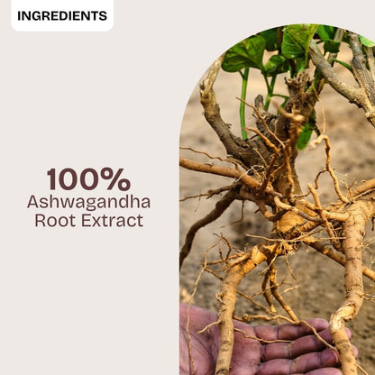 Ashwagandha Tablets - Puretive Botanics